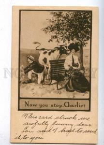 202726 COMIC Lovers & COW Stop Charlie Vintage postcard