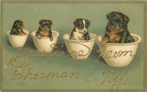 Sherman New York Dogs Mixing Bowls 1909 Artist impression Postcard 21-5223