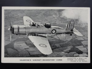 WW2 Military Aircraft THE BLACKBURN ROC I by Valentine