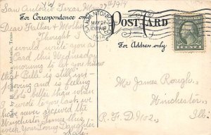 Oak Tree - San Antonio, Texas TX