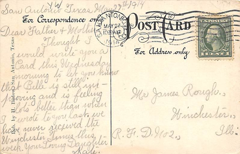 Oak Tree - San Antonio, Texas TX