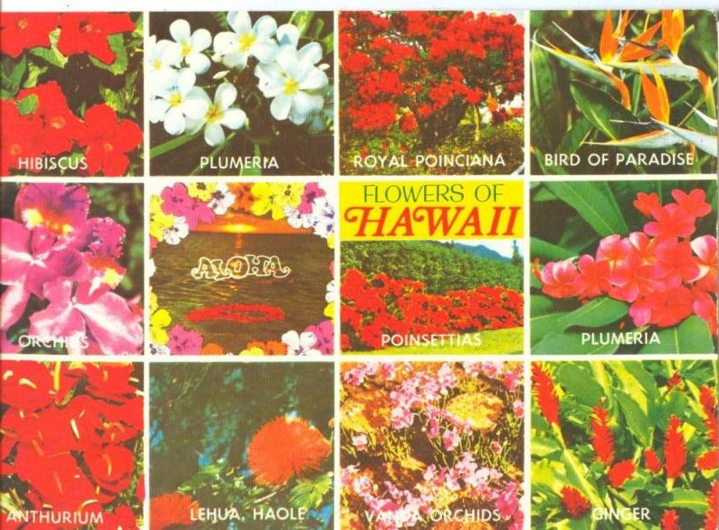 USA, Flowers of Hawaii, 1980s unused Postcard