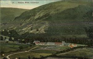 Wales - Victoria Wells Llanwrtyd c1910 Postcard