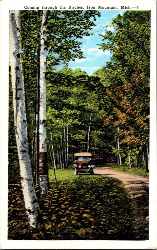 Car Driving Through the Birches, Iron Mountain MI Vintage Postcard N52