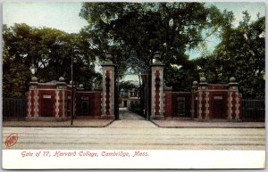 Harvard College Cambridge Massachusetts MA Entance Campus Building Postcard