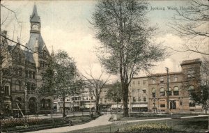Hamilton Ontario Gore Park Westward c1900-20s Vintage Postcard