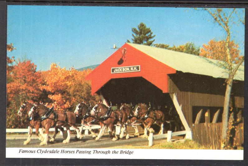 Clydesdale Horses Passing Through Covered Bridge,Jackson,NH