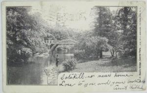 Rustic Bridge Central Park NYC NY 1907