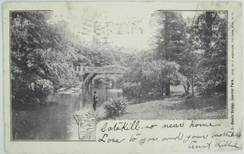 Rustic Bridge Central Park NYC NY 1907