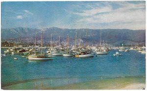 Yacht Harbor Santa Barbara California Vintage Postcard