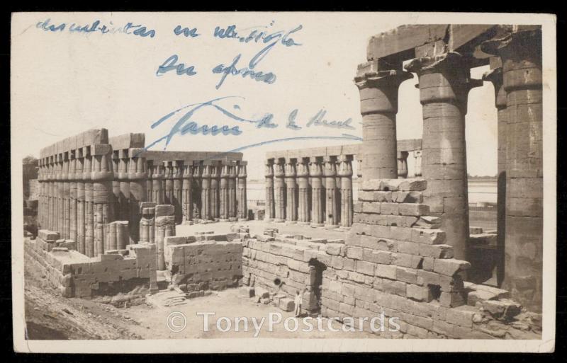 Luxor Temple. General View of Open and Close Capital Papyrus Columns Facing The