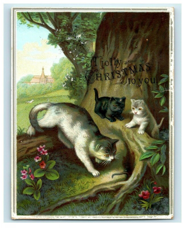 1870s-80s Victorian Christmas Card Cat & Kittens Hunting Fab! P209 