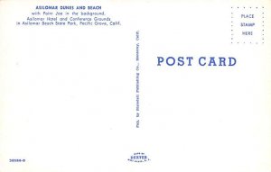 Asilomar Dunes and Beach Pacific Grove CA