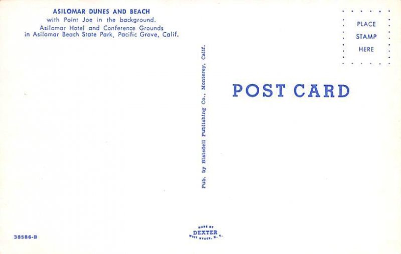 Asilomar Dunes and Beach Pacific Grove CA