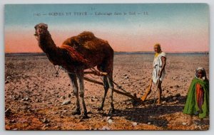 Camel Desert Scenes Et Types Labourage dana le Sud Postcard M30