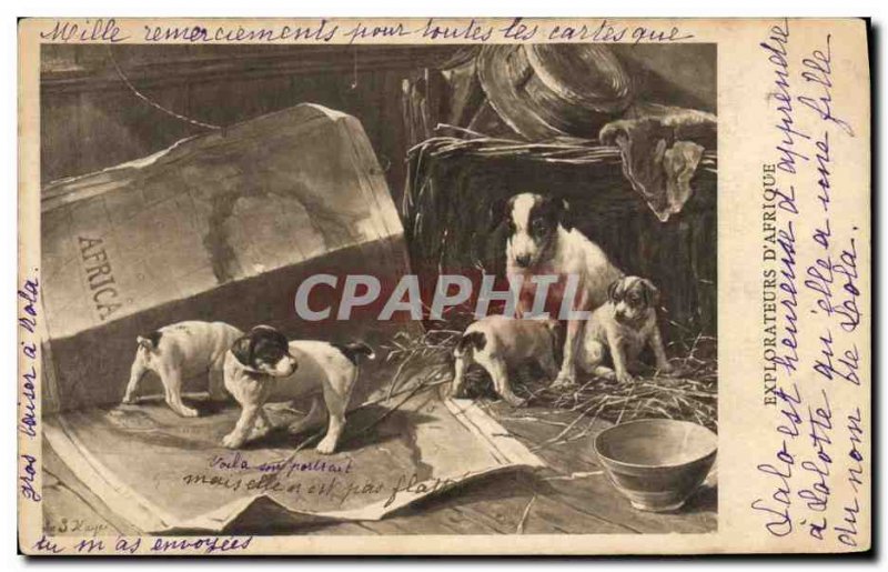 Postcard Old Dog Puppy Chients Explorers d & # 39Afrique