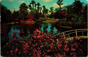 Cypress Gardens Florida Bridge Flowers Waterway Postcard PM Hollywood FL Cancel  