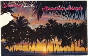 Sunset Through The Palms, Hawaii, Vintage 1951 Chrome Postcard