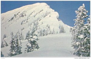 Fidelity Mountain, Winter Scene, GLACIER NATIONAL PARK, British Columbia, Can...