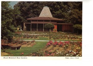 Royal Botanial Gardens, Roses, Hamilton, Ontario