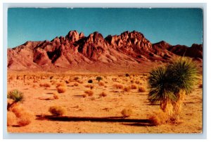 Vintage Organ Mountains El Paso Las Cruces Needle Ray Manley Postcard F93S