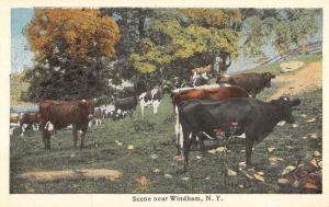 Windham New York Cow Pasture Greeting Antique Postcard K56739