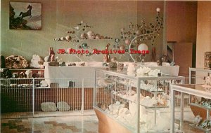 307571-North Dakota, Parshall, Paul Broste Rock Museum, Interior View