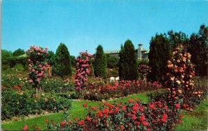 Hershey Pennsylvania Chocolate Town National Flower Guild Chrome Postcard 