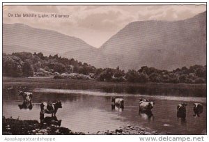 England Shrewsbury The Wyle CopIreland Killarney On The Middle Lake Real Photo