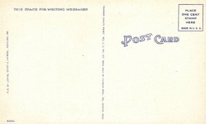 Vintage Postcard 1930's A Maine Nut Tucker Loring Short & Harmon Pub.