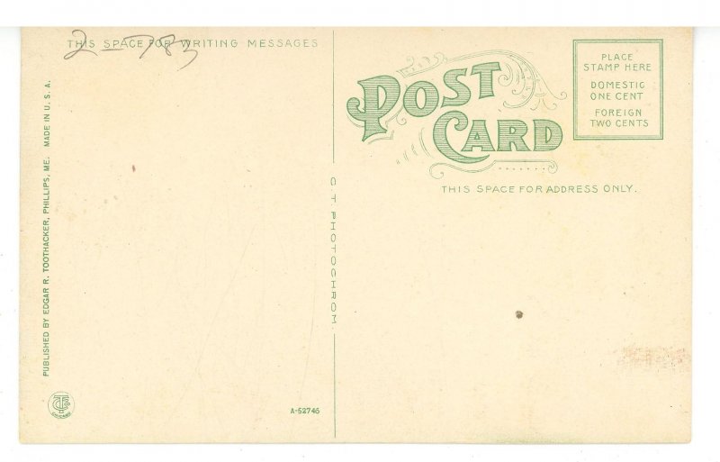 ME - Phillips. Apple Blossoms Near Main Street