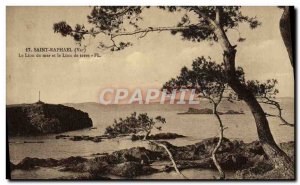 Old Postcard Saint Raphael The sea lion on earth lion