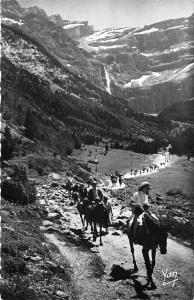 BR18384 gavarnie Retour du Corque horse chaveaux  france