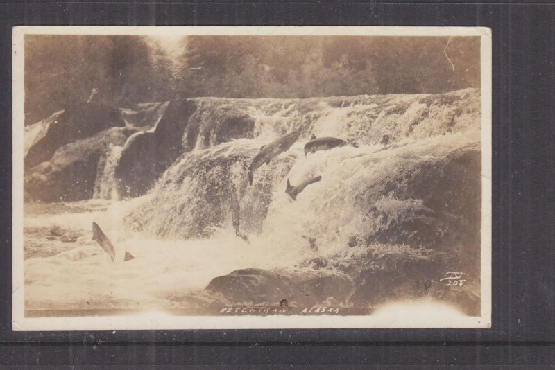 ALASKA, KETCHIKAN, SALMON SWIMMING UPSTREAM, c1910 real photo ppc., unused. 