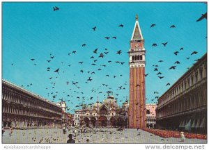 Italy Venezia Piazza San Marco Volo di colombi