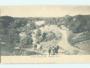 Pre-1907 PARK SCENE Rochester New York NY H4135