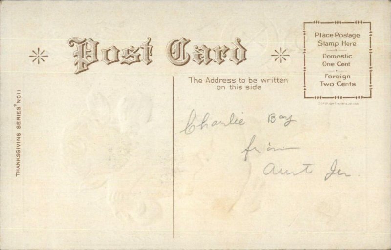 Thanksgiving - Little Boy Napkin Wishbone c1910 Postcard 