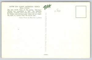 Mesa Arizona~Mormon Temple Grounds General View~Neoclassical~1950s Postcard