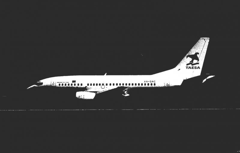 TAESA Boeing B-737-500