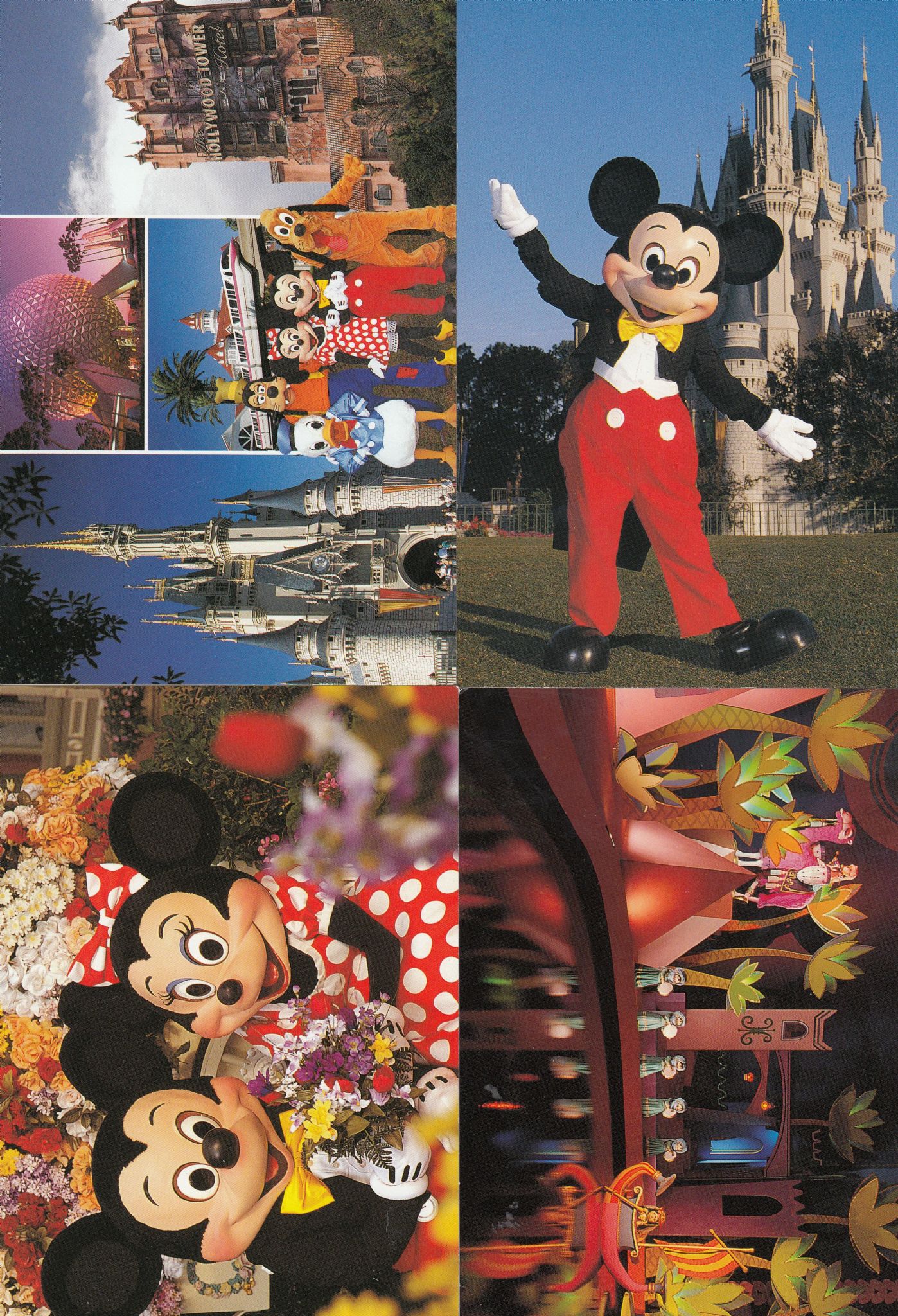 Walt Disney World USA Cinderella Mickey Mouse 4x Postcard s | Topics -  Disney - Other, Postcard