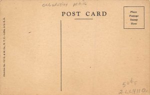 Child Lettercarrier Comic Occupation, Mailman Postcard