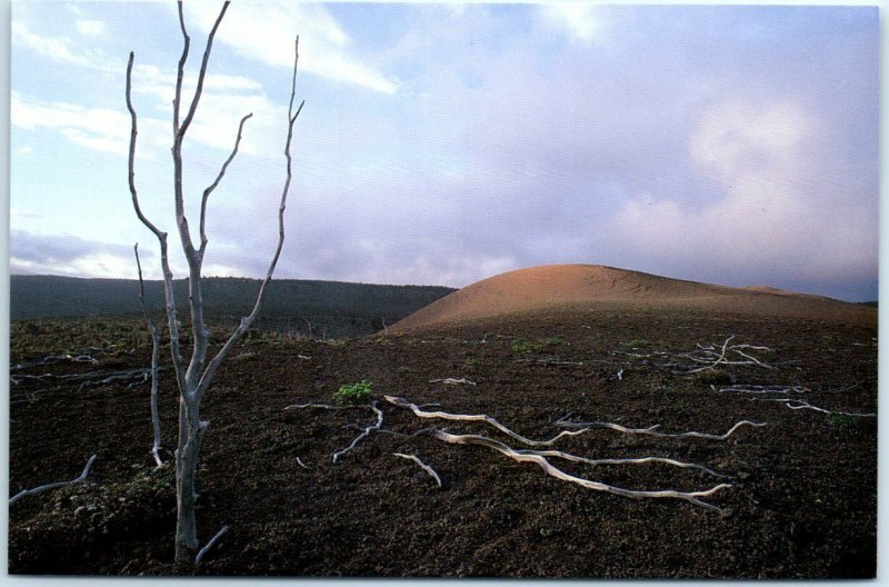 Postcard - Pu'u Pua'i (gushing hill) - Hawaii Volcanoes National Park, Hawaii