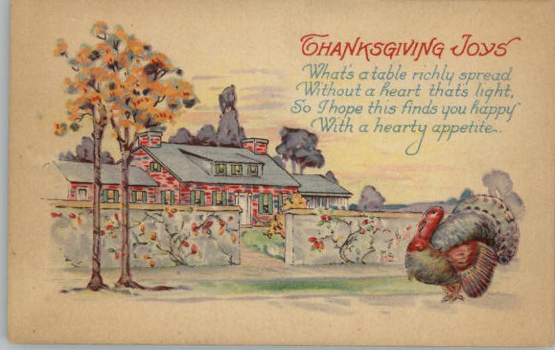 Thanksgiving Turkey Greeting c1910 Postcard