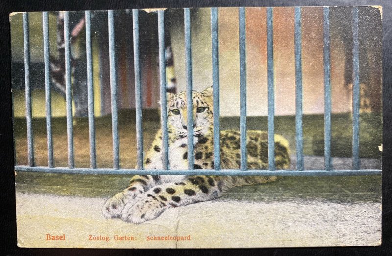 Mint Switzerland Color Picture Postcard PPC Basel Zoo Graden Leopard