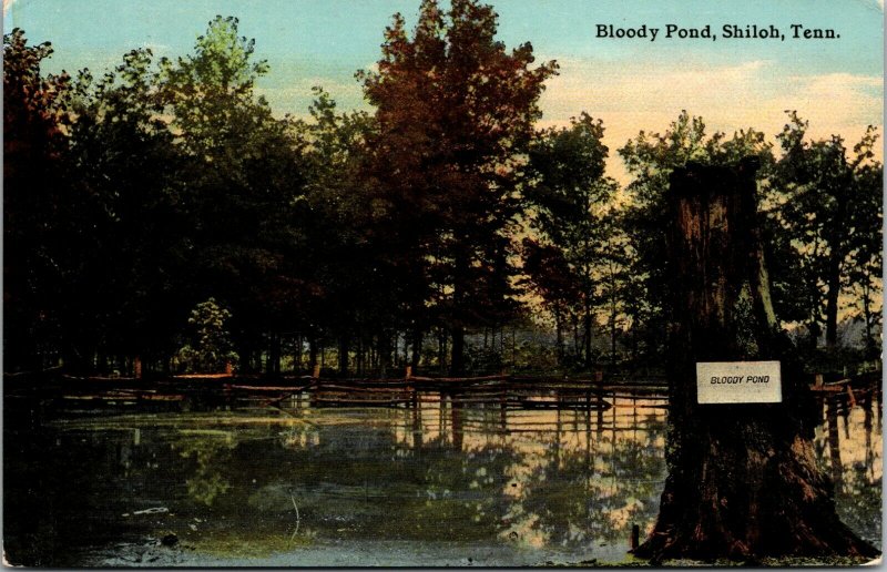 C.1905-10 Civil War, Bloody Pond, Shiloh, Tenn. Vintage Postcard 