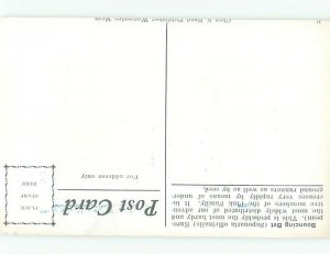 c1910 Beautiful Large signed BOUNCING BET FLOWERS AC4893