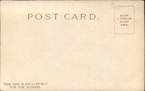 EASTER FANTASY Chick Ties Ribbon on Letter EMBOSSED c1910 Postcard