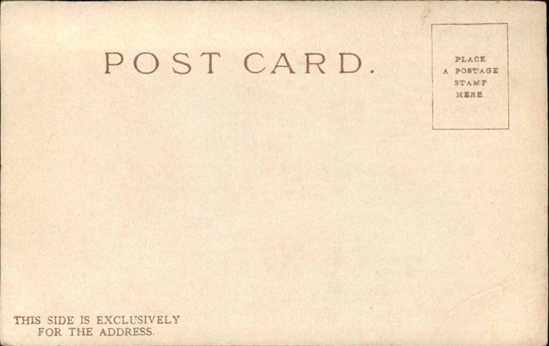 EASTER FANTASY Chick Ties Ribbon on Letter EMBOSSED c1910 Postcard