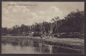 Dairy Herd,University Farm,St Paul,MN Postcard 