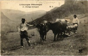 CPA Auvergne - Attelage (72882)